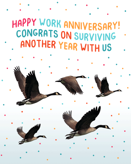work anniversary anniversary card photo ducks work picture image photo anniv