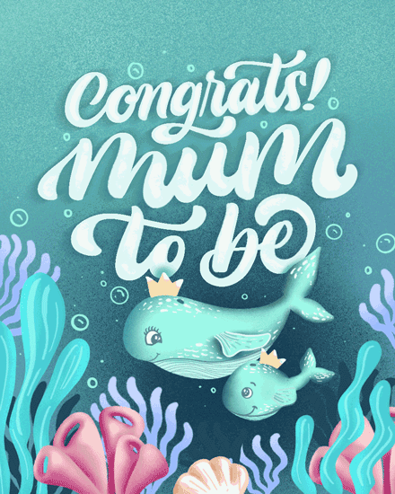 baby whales mum to be childbirth mammals crown queen bubbles corals underwater swim