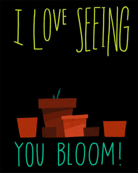 congratulations bloom plants plants leafs pots