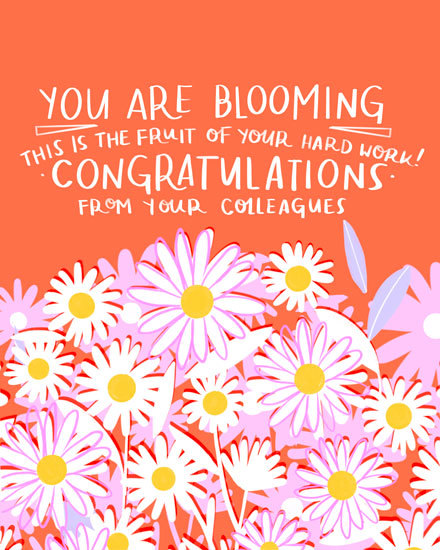 congratulations card blooming flower floral