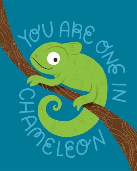encouragement chameleon colors animal