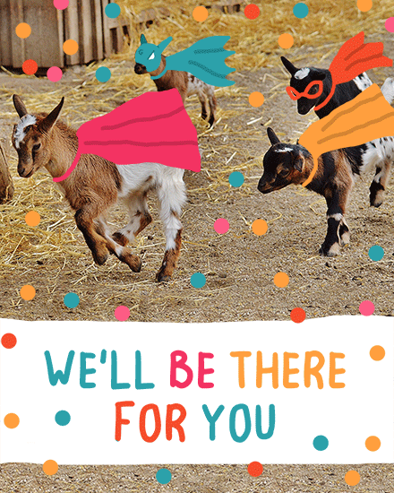 encouragement card photo of goat running picture photo image
