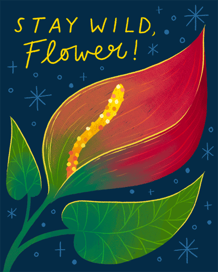 Colorful stylized flower with red-orange petal and green leaves on navy starry background