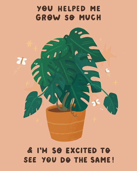 farewell monstera grow plant leafs butterflies