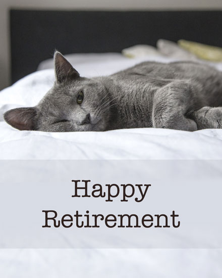 farewell card retirement resting gray cat picture photo image retire retiring retiree retired