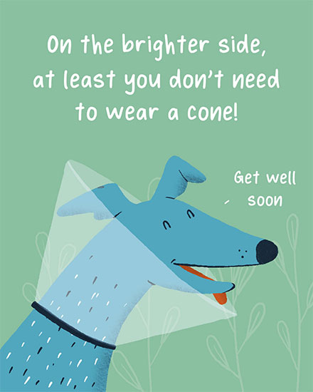 get well soon card dog cone illness