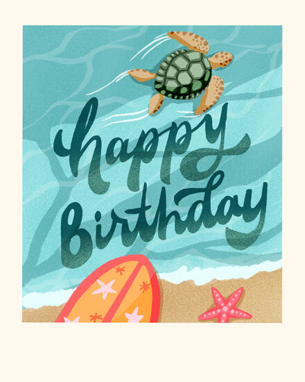 birthday beach summer photo turtle surf starfish seashore 