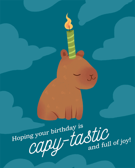 birthday capybara pun candle cloud