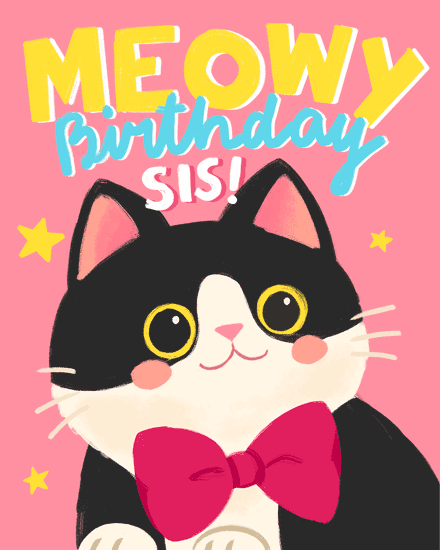 Cute black and white cat with a pink bow tie on a pink background with stars.