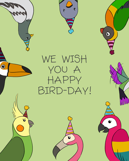 happy birthday card colorful birdday birds pun