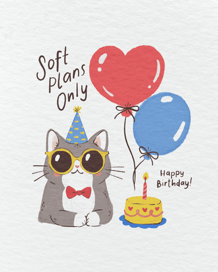 birthday cozy kitty cat balloons cake sunglass 