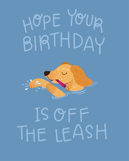 Blue design with swimming dog illustration and text: Hope your birthday is off the leash