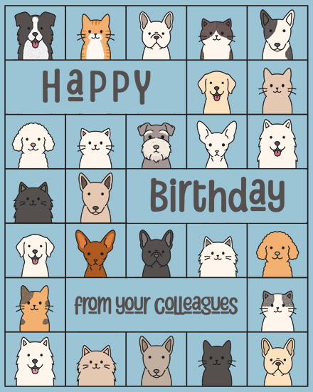 Blue grid with cute cartoon cats and dogs and text Happy Birthday from your colleagues
