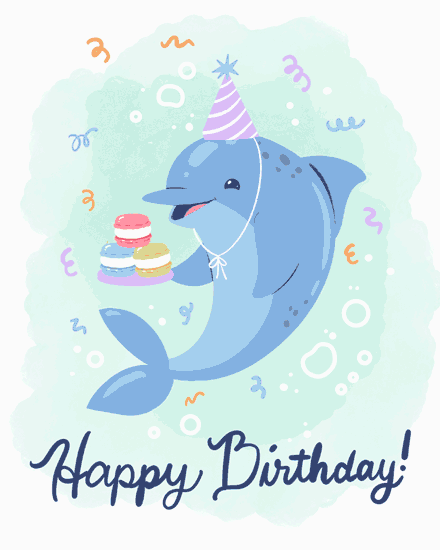 birthday dolphin macarons confetti party hat