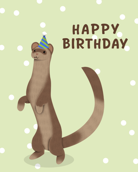 birthday ferret hat tail confetti