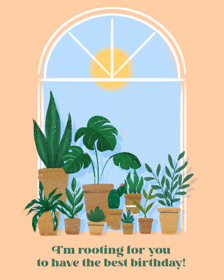 birthday glow and thrive plants gg sun