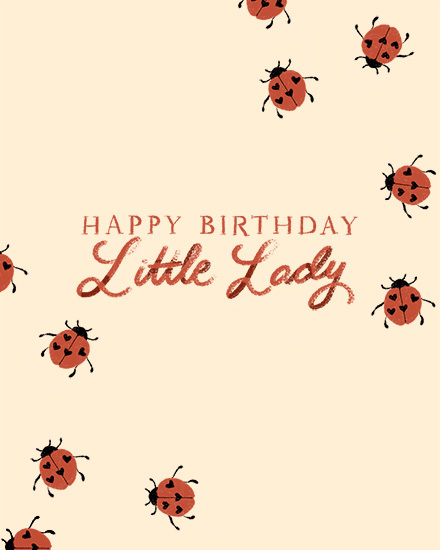 birthday ladybug insect bug