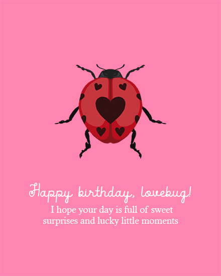 birthday ladybug insect