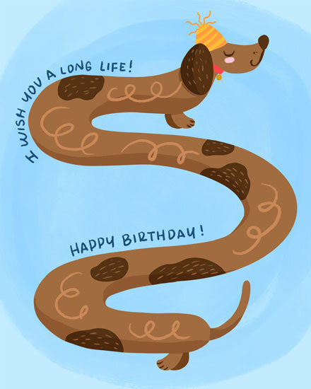 birthday long life dog party hat 