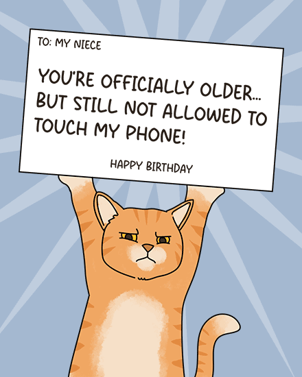birthday niece cat grumpy