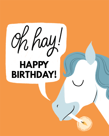 oh hay horse birthday card animals pony candle pun