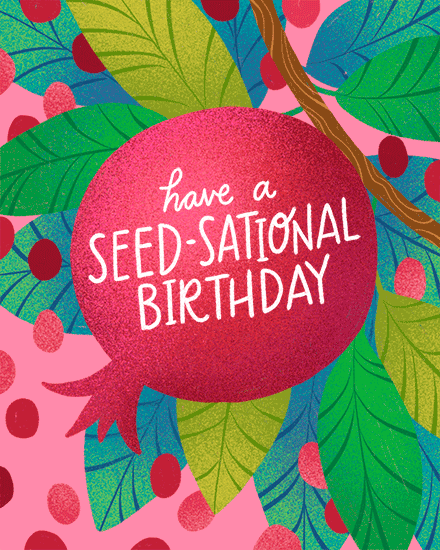 Pomegranate speech bubble with “Have a Seed-sational Birthday” text, colorful leaves on pink background
