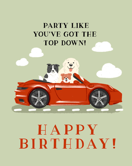 Three dogs in a red convertible under clouds with Party Like You’ve Got The Top Down text