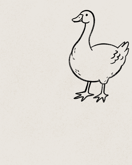 birthday silly goose grandson duck