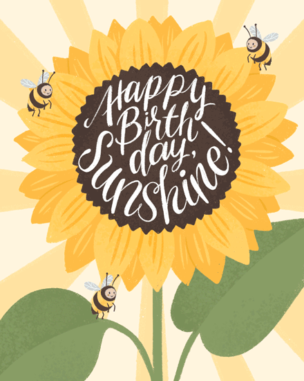 birthday sunflower bee sunshine fly insect bright nectar sun summer