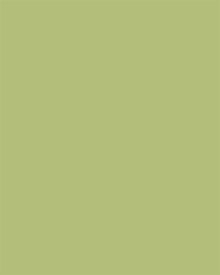 Minimalist greeting design with a solid olive-green background and no text