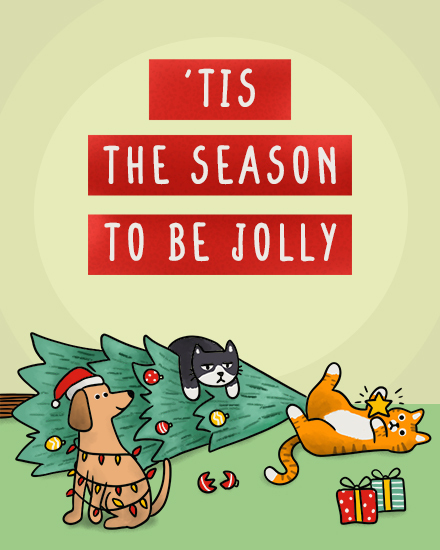 holiday season christmas tree mess cats dog