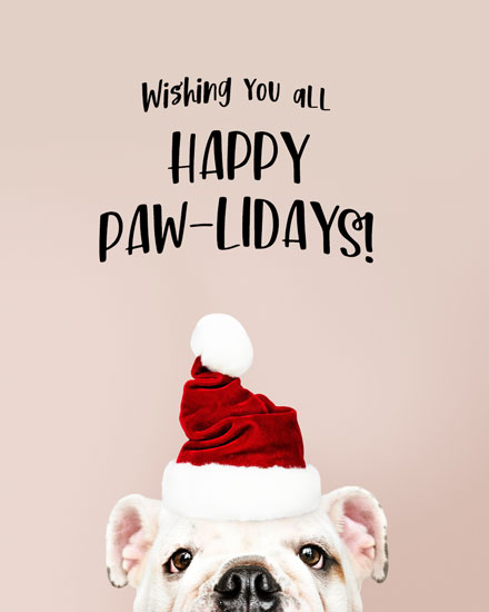 holiday season holiday card happy pawlidays bulldog picture photo image