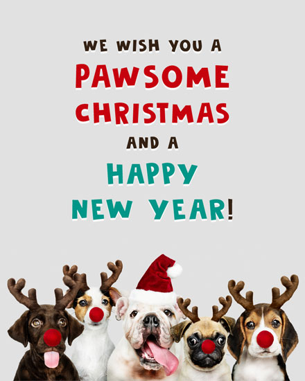 holiday season holiday card pawsome christmas dogs picture photo image