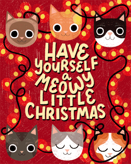 holiday season holiday card meowy