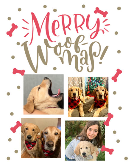 holiday season holiday card photo template merry woofmas picture photo image