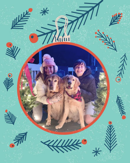 holiday season holiday card photo template ornament picture photo image