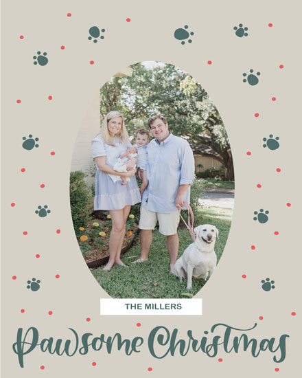 holiday season holiday photo template card pawsome christmas picture photo image