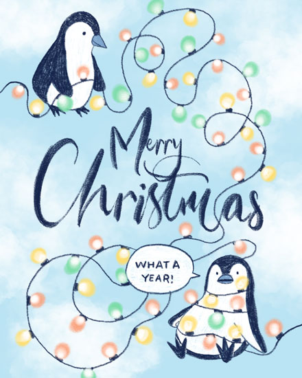 holiday season holiday card penguins christmas lights