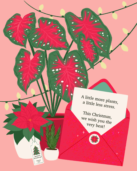 holiday season holiday card plants less stress
