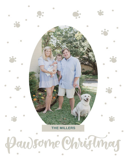 holiday season holiday photo template card pawsome christmas picture photo image