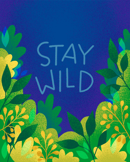 Stay Wild hand-lettered text on blue background with vibrant green and yellow foliage border