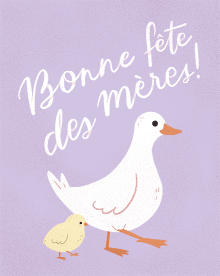 mother's day duck duckling chick french birds