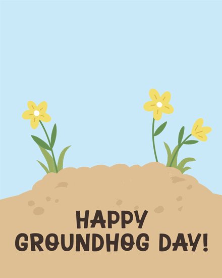 miscellaneous groundhog day