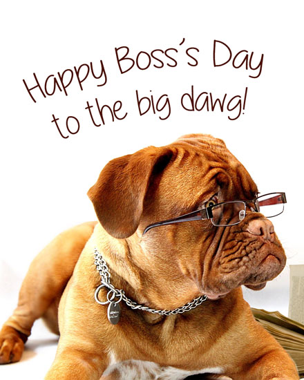boss's day boss day card to the big dawg picture dog