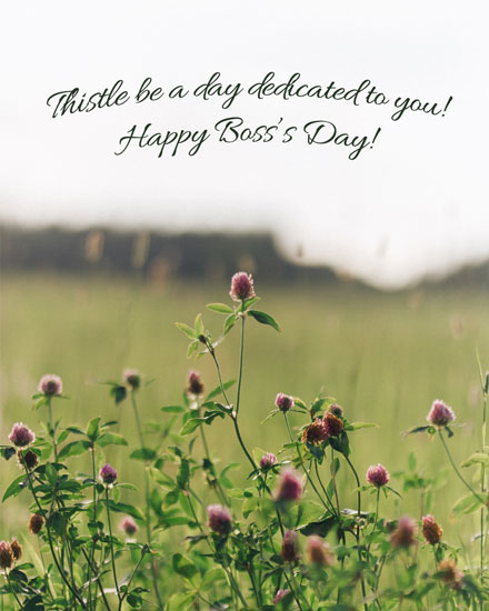 boss day card thistle field thistle be boss day picture
