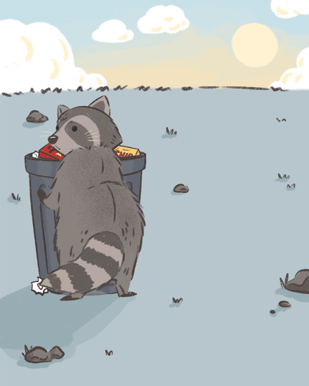 retirement raccoon at sunrise funny trash garbage