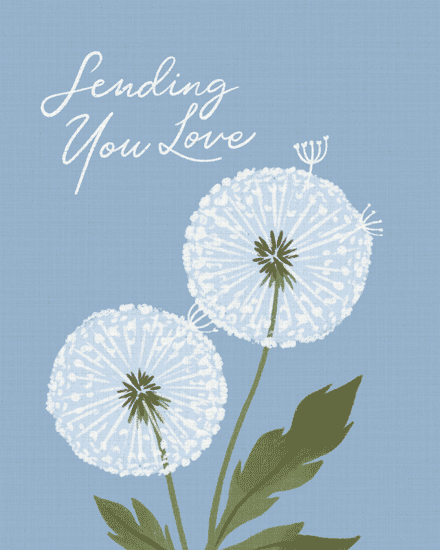 Hand-lettered “Sending You Love” on blue background with two white dandelion flowers