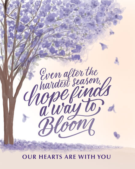 sympathy hope finds way to bloom tree leaves petals flowers