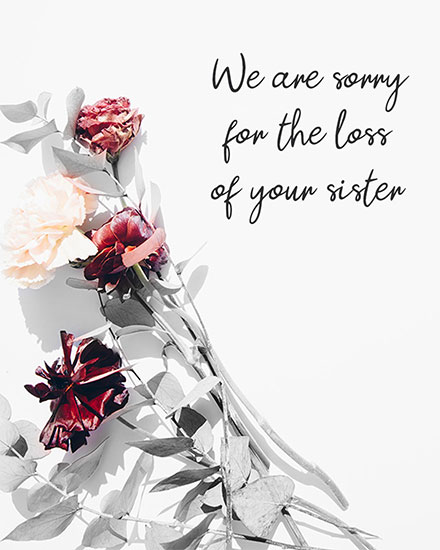 sympathy card we are very sorry for the loss of your sister bereavement flower picture photo image death grief