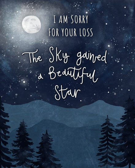 Night sky with stars, moon, and text 'The Sky gained a Beautiful Star'.